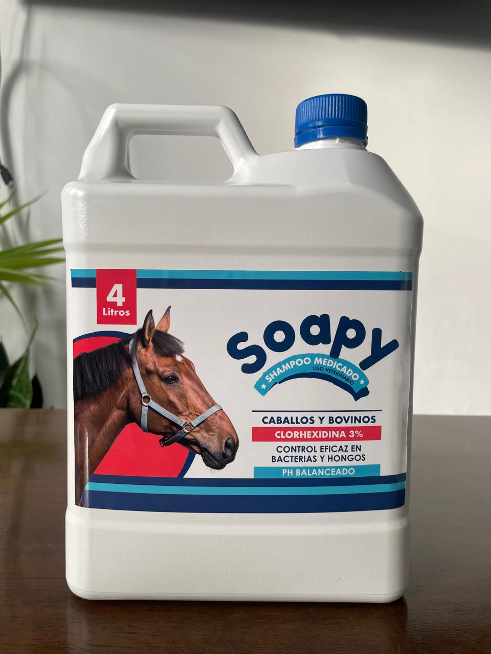 Shampoo Medicado Caballos 4L
