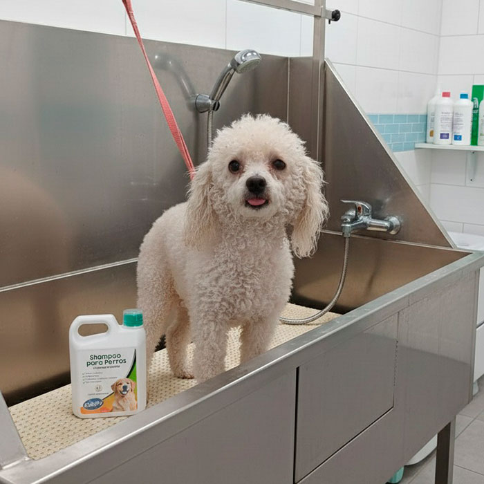 Shampo-Perros-Soapy-1