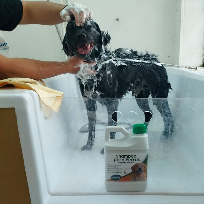 Shampo-Perros-Soapy-2