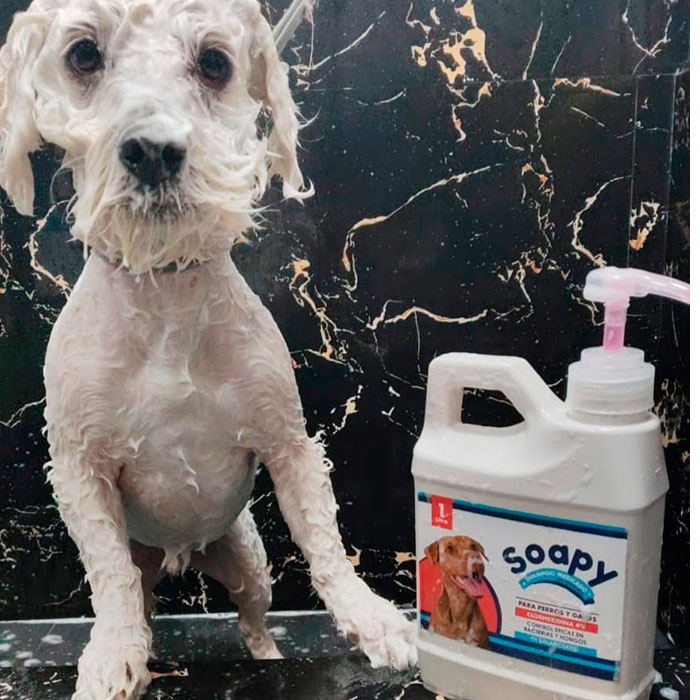 Shampo-Perros-Soapy-5