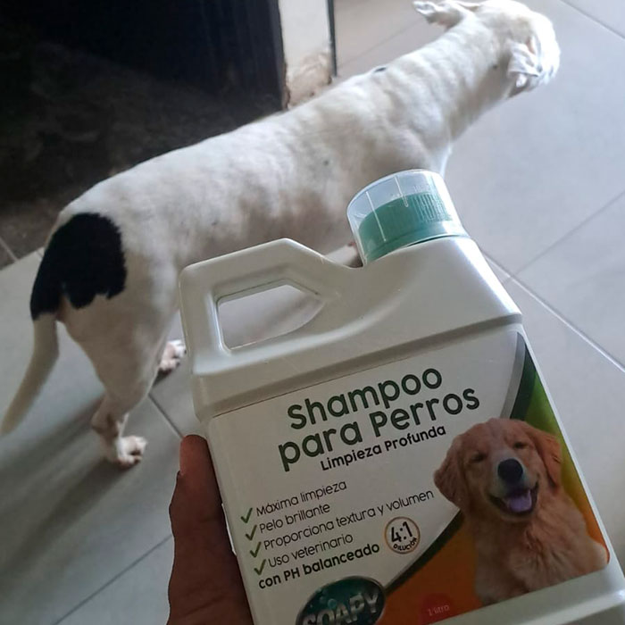 Shampo-Perros-Soapy-6