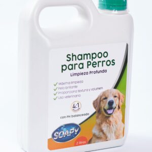 Shampoo Limpieza Profunda 2L