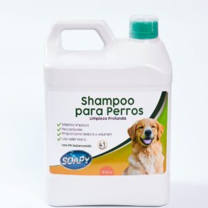 Shampoo Limpieza Profunda 4L
